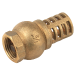 Βαλβίδα Πυθμένα